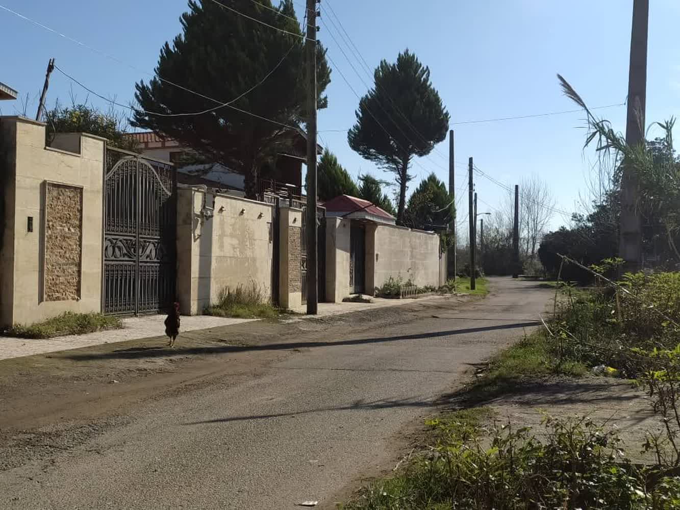 WhatsApp Image 2025-09-24 at 7.56.46 PM