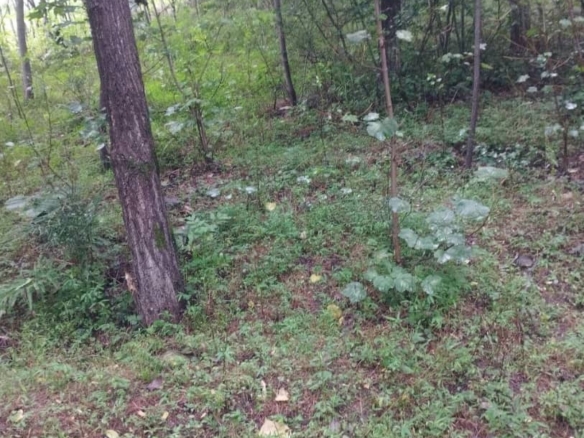 WhatsApp Image 2025 10 12 at 12.05.53 AM