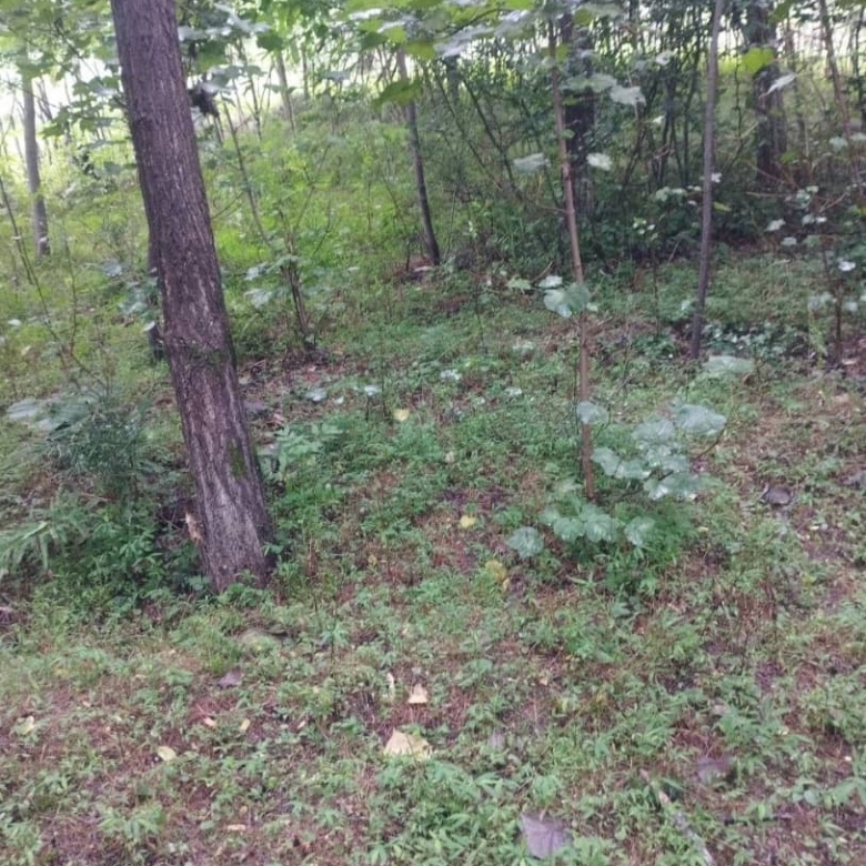 WhatsApp Image 2025 10 12 at 12.05.53 AM