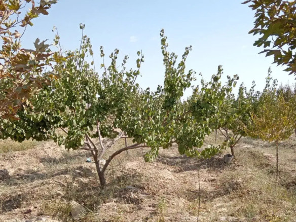 a9f9af5f 5750 4262 8d6f e762d0142609