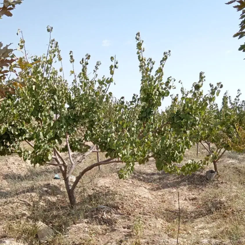 a9f9af5f 5750 4262 8d6f e762d0142609