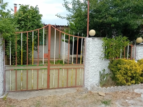 WhatsApp Image 2025 11 08 at 4.31.36 PM